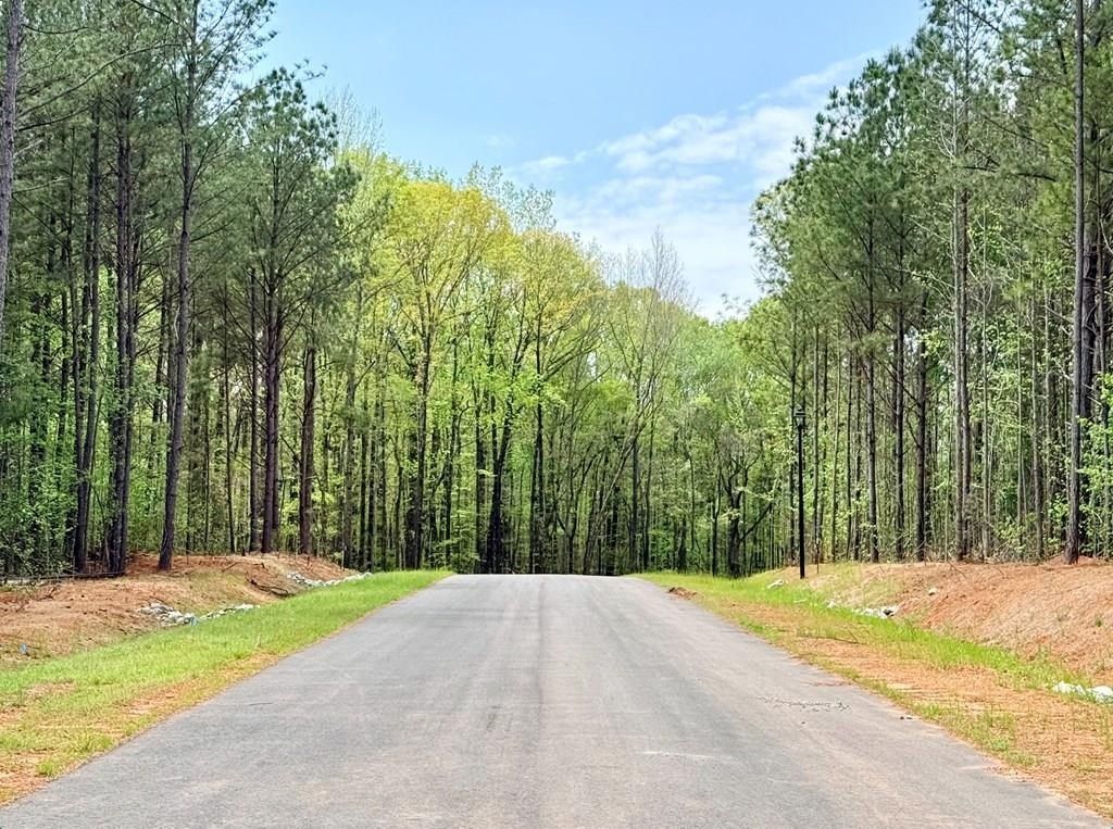174 Rolling Meadows Way. Waverly Hall, GA 31831