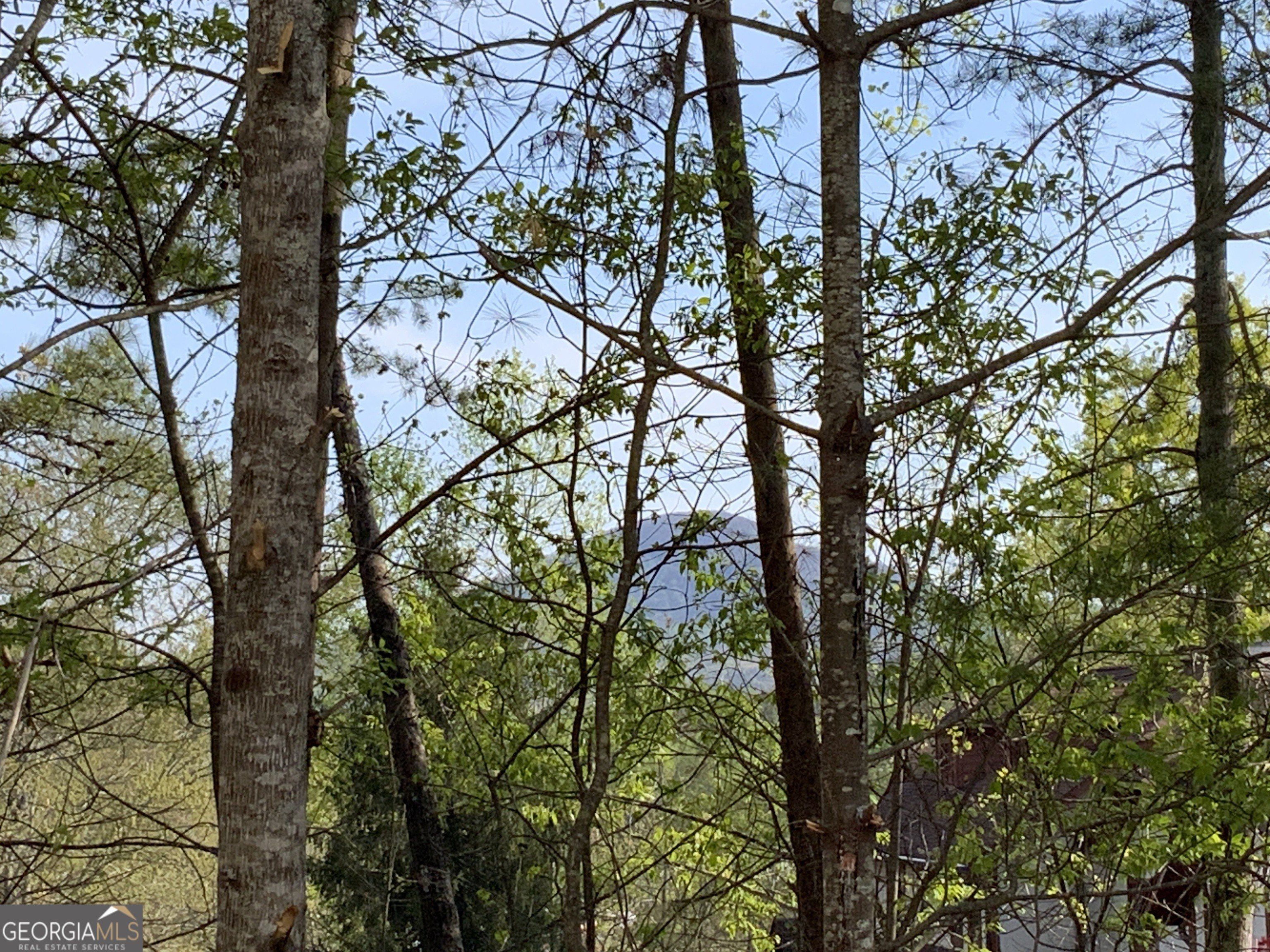39B Sportarten Strasse. Helen, GA 30545