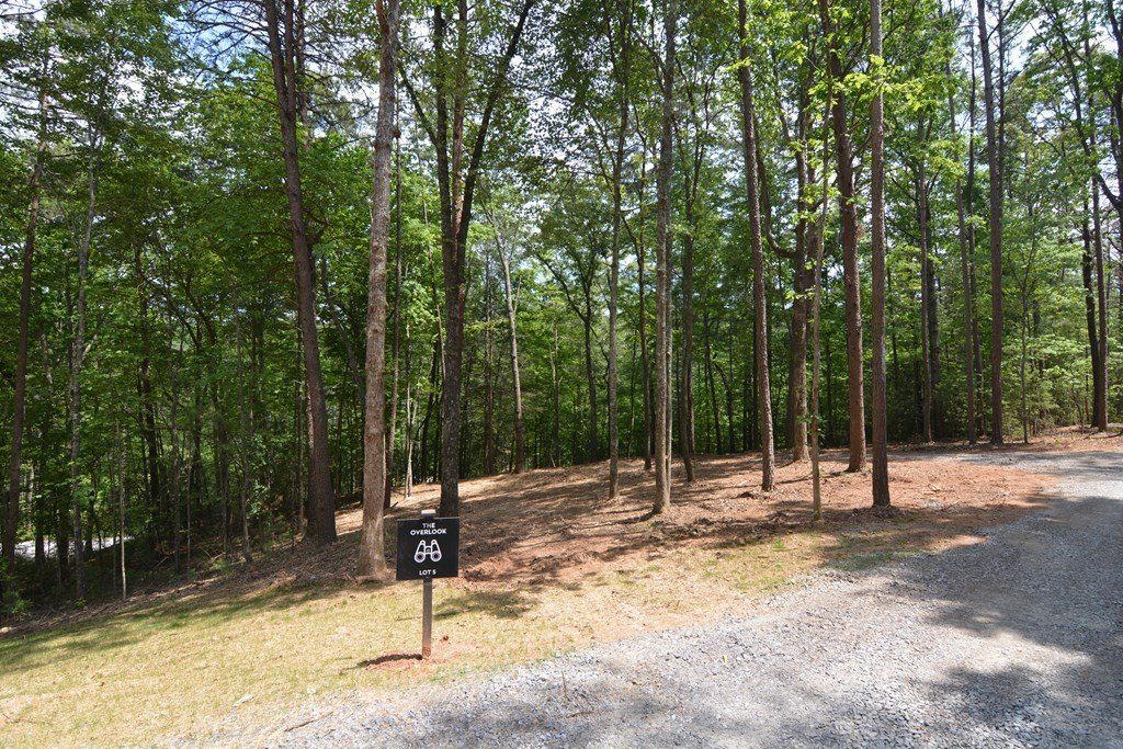 Lot Murphy Hwy Spur. Mineral Bluff, GA 30559