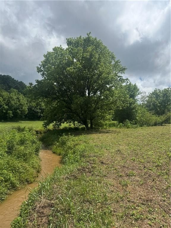 Tails Creek Rd. Ellijay, GA 30540