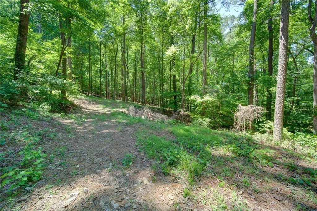 1981 Mountain Drive. Alpharetta, GA 30004