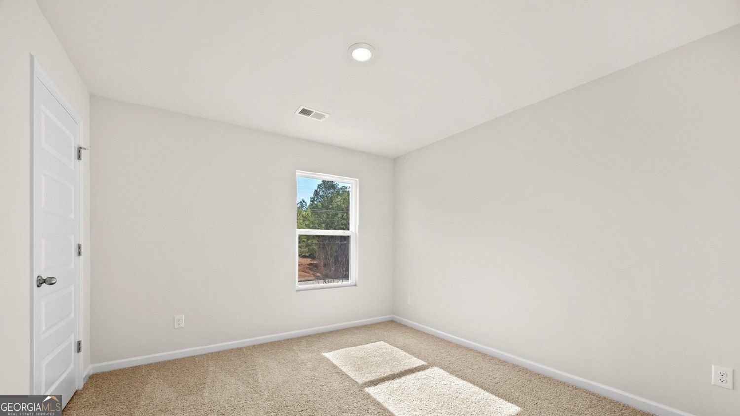 175 White Spruce Way. Newnan, GA 30265
