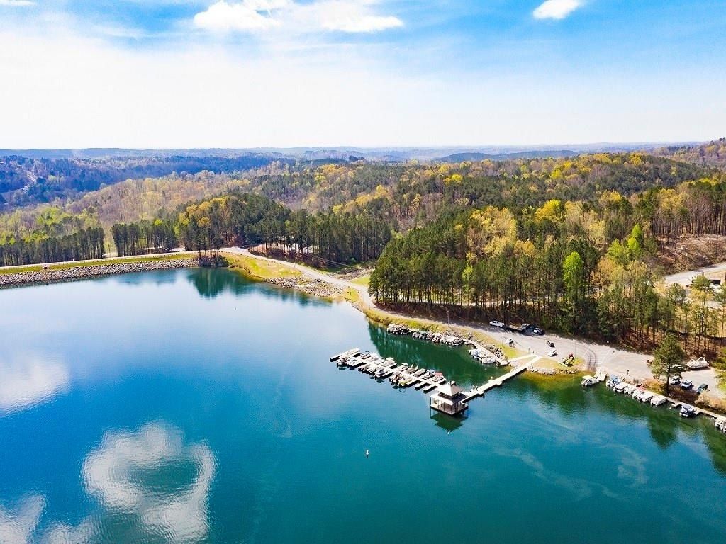 150 Ft Gibson Court. Waleska, GA 30183