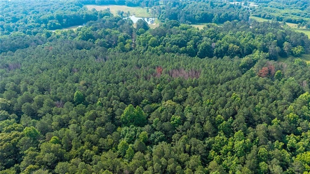 136 Highway 136 Connector Lot 4. Talking Rock, GA 30175