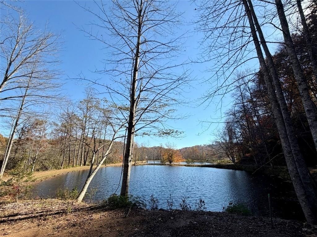 Cove View Lane. Clarkesville, GA 30523