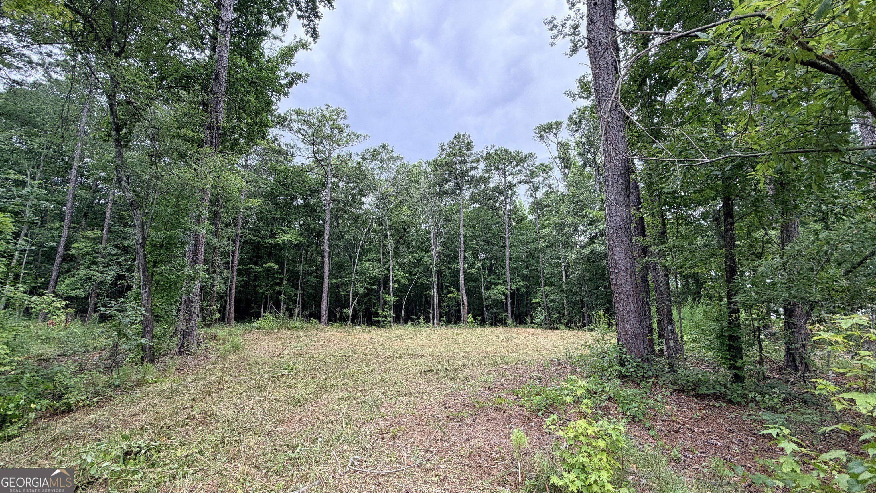 180 Coffey Road. Barnesville, GA 30204