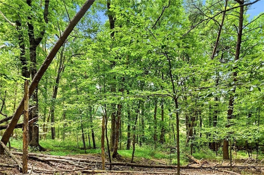 35 Quail Walk. Jasper, GA 30143