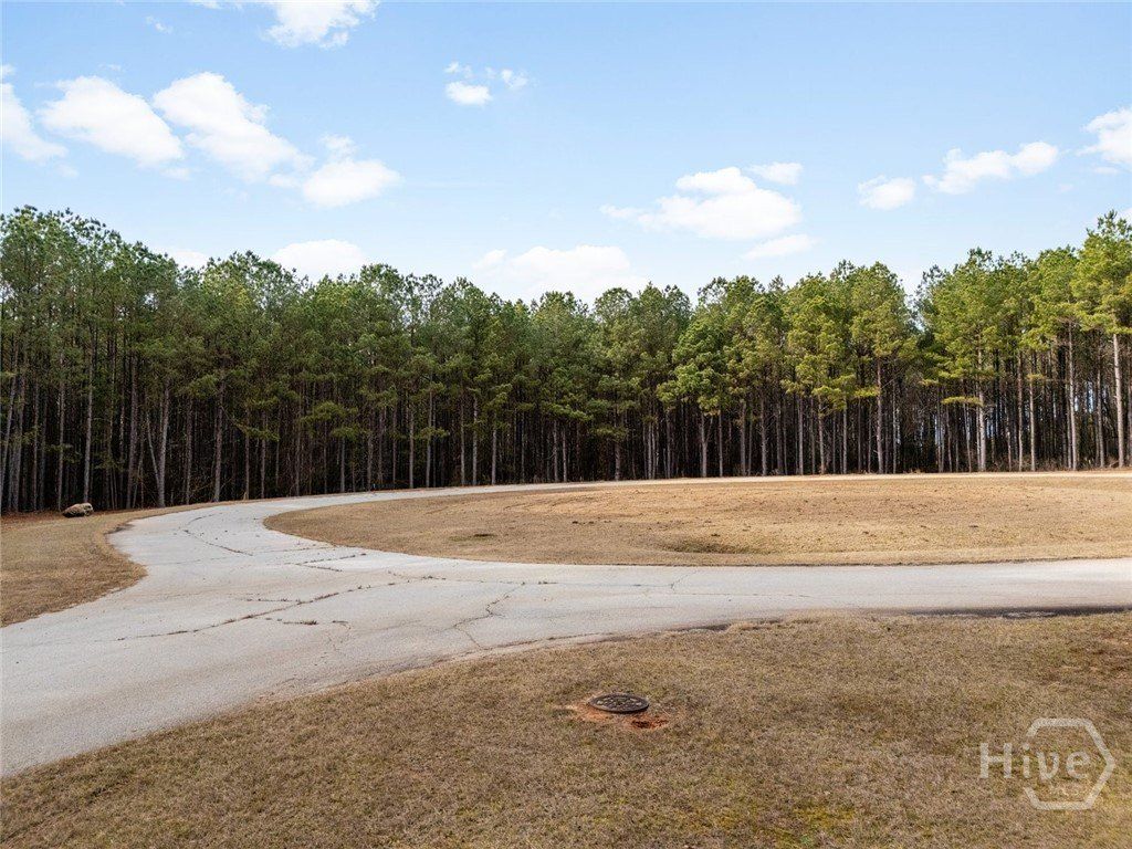 1325 Magnolia Court. Tignall, GA 30668