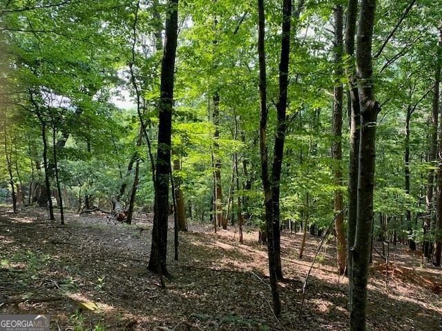 6057 Crested Iris Circle. Big Canoe, GA 30143