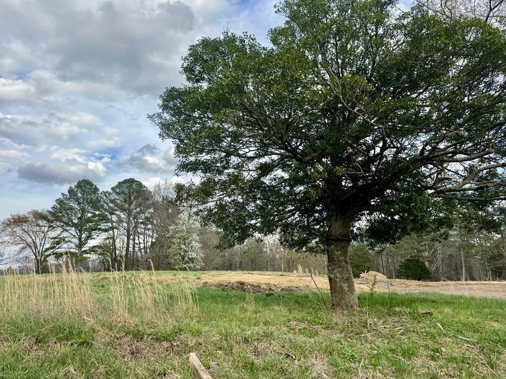 Tract 2 Mount Pleasant Road. Dalton, GA 30721