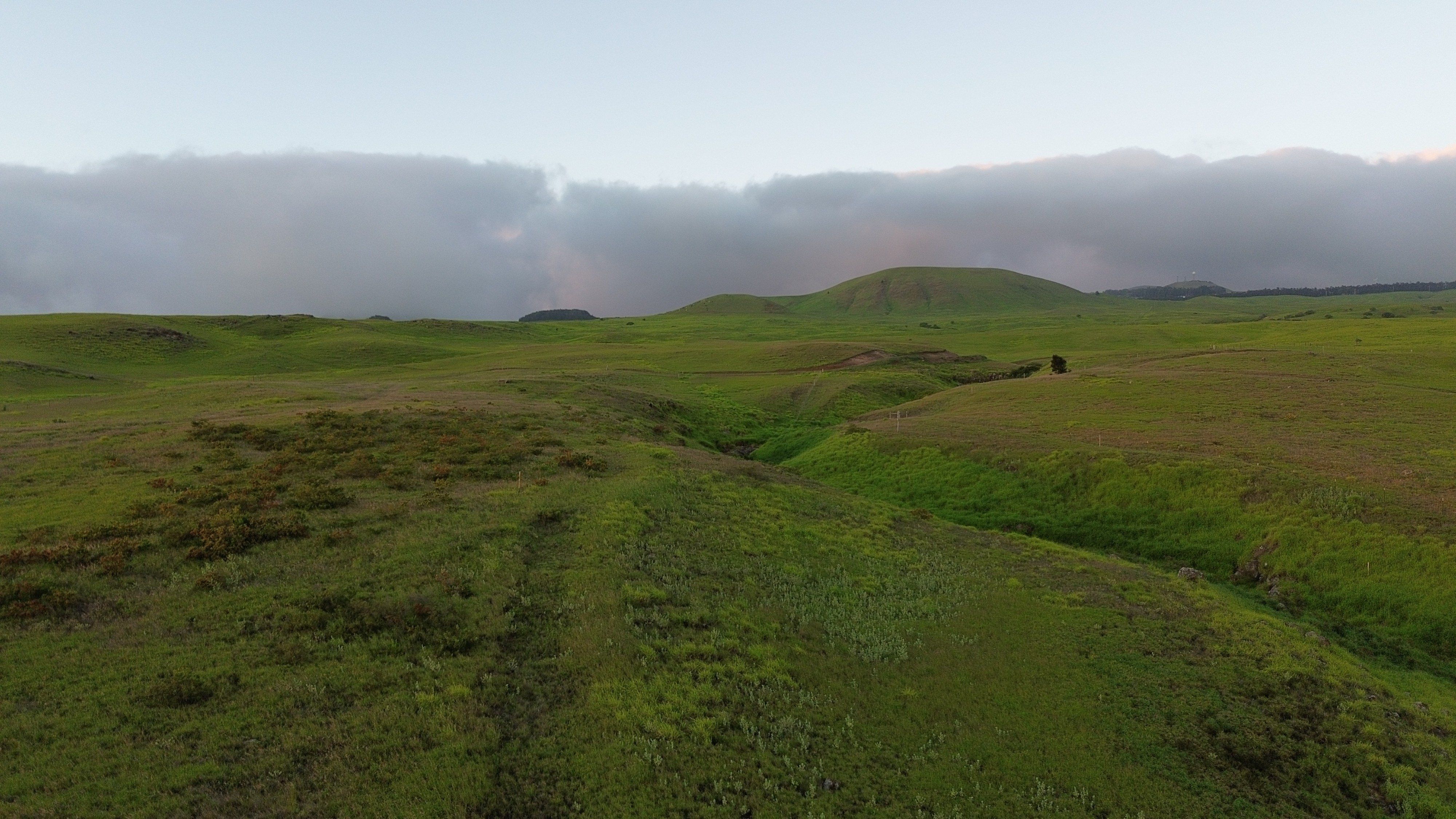 591140 Kalama Way. Kamuela, HI 96743