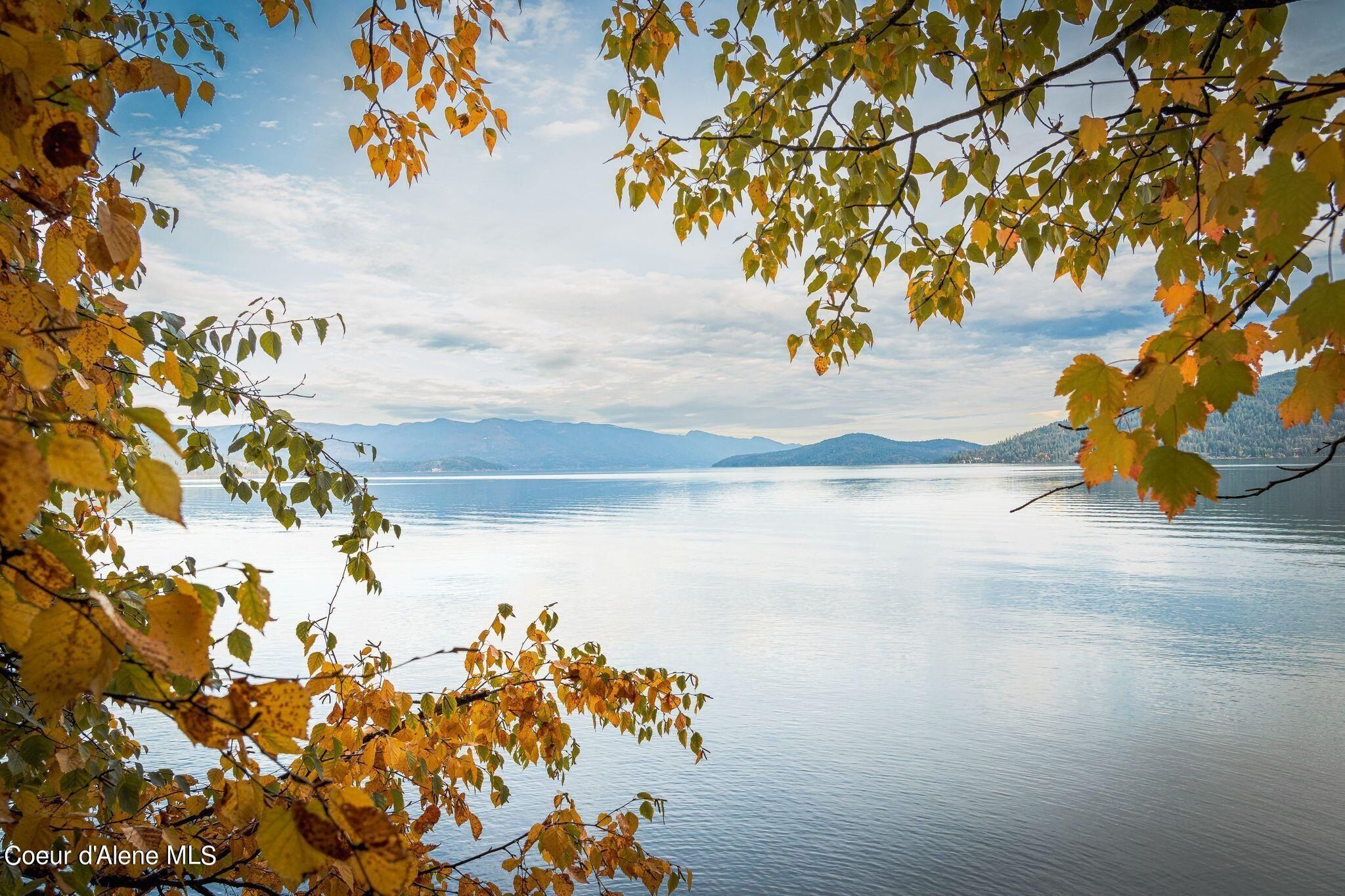 802 Sandpoint Ave Unit 8106. Sandpoint, ID 83864