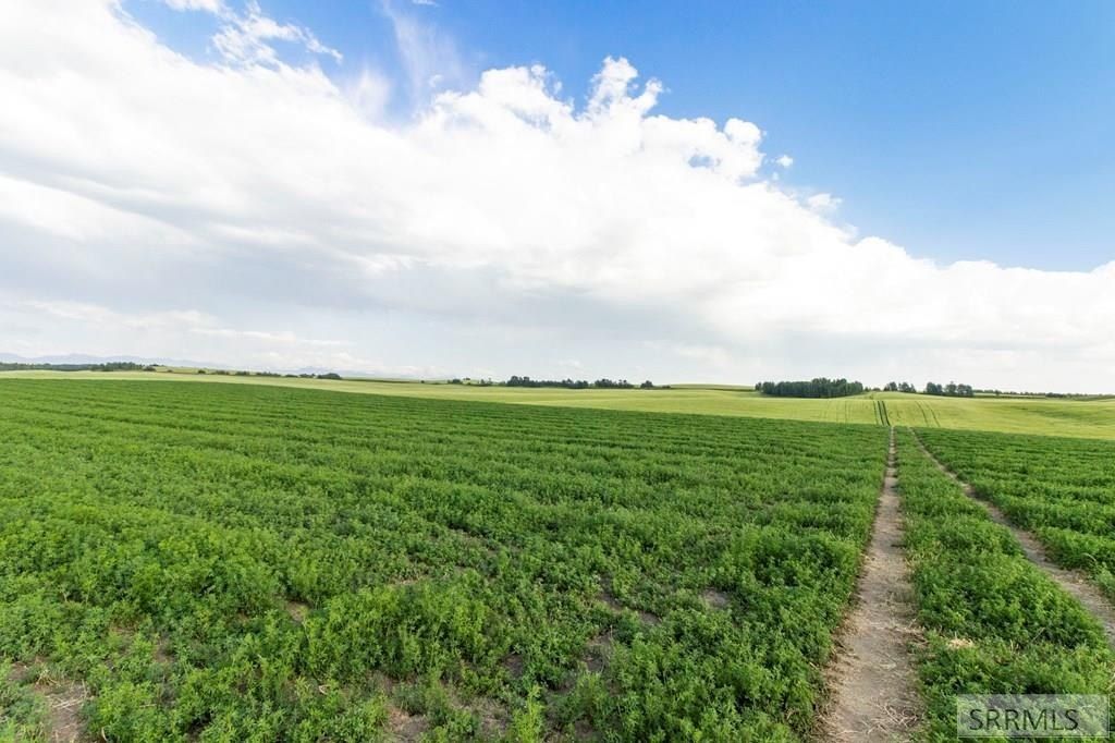 E 1400 N. Ashton, ID 83420