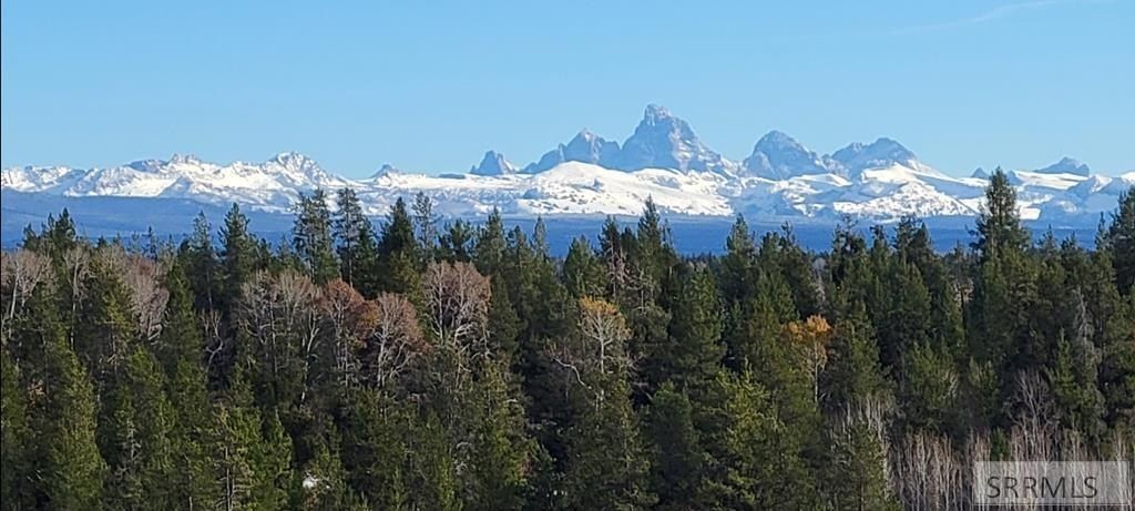 1660 Shadow Loop S. Ashton, ID 83420