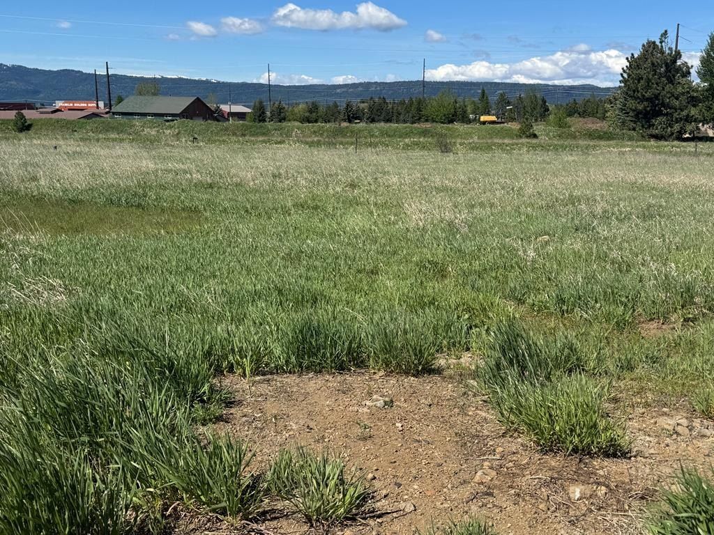 14063 Mulberry Street. McCall, ID 83638