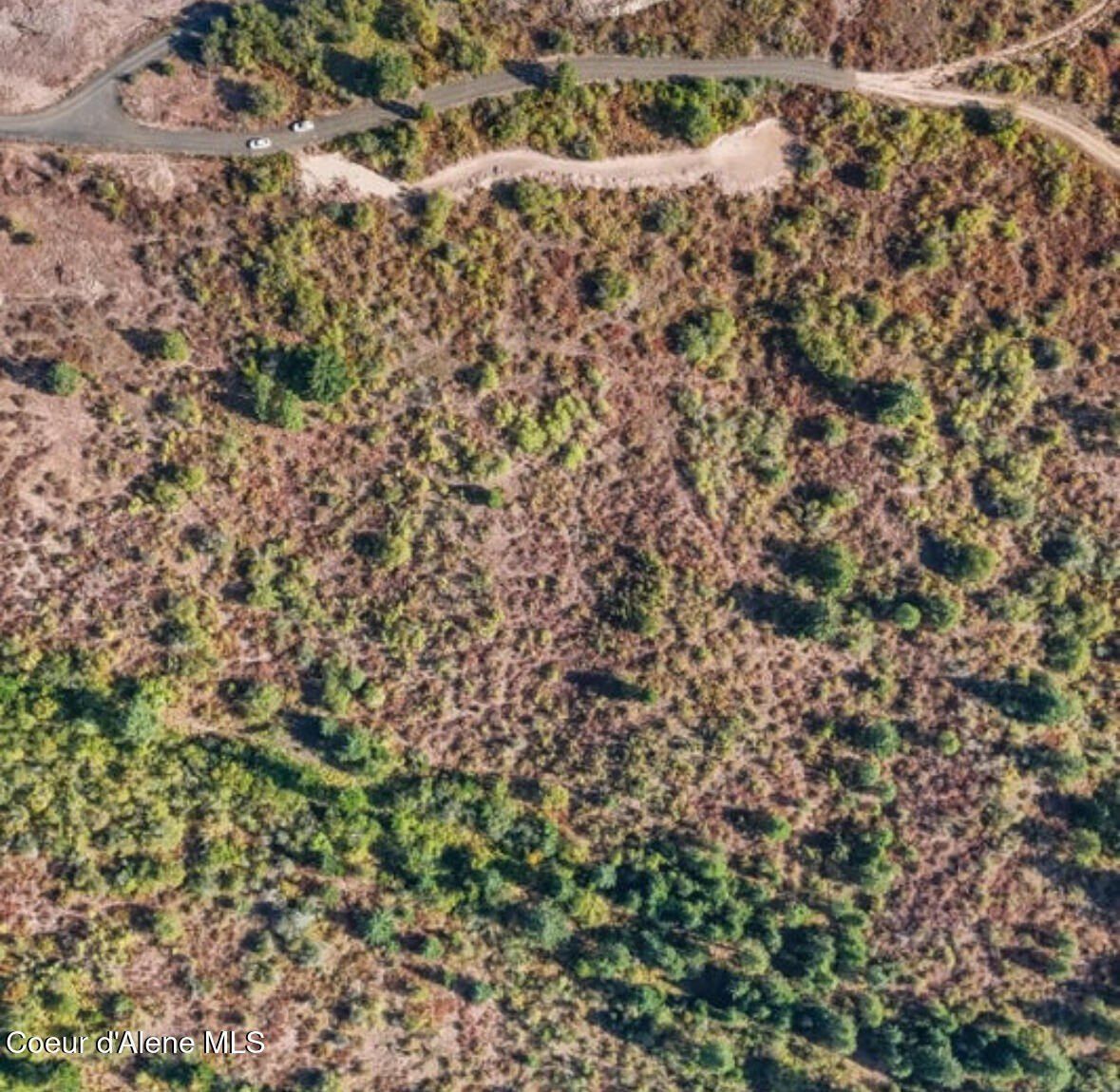 1475 Acre Treetop Ln. Plummer, ID 83851