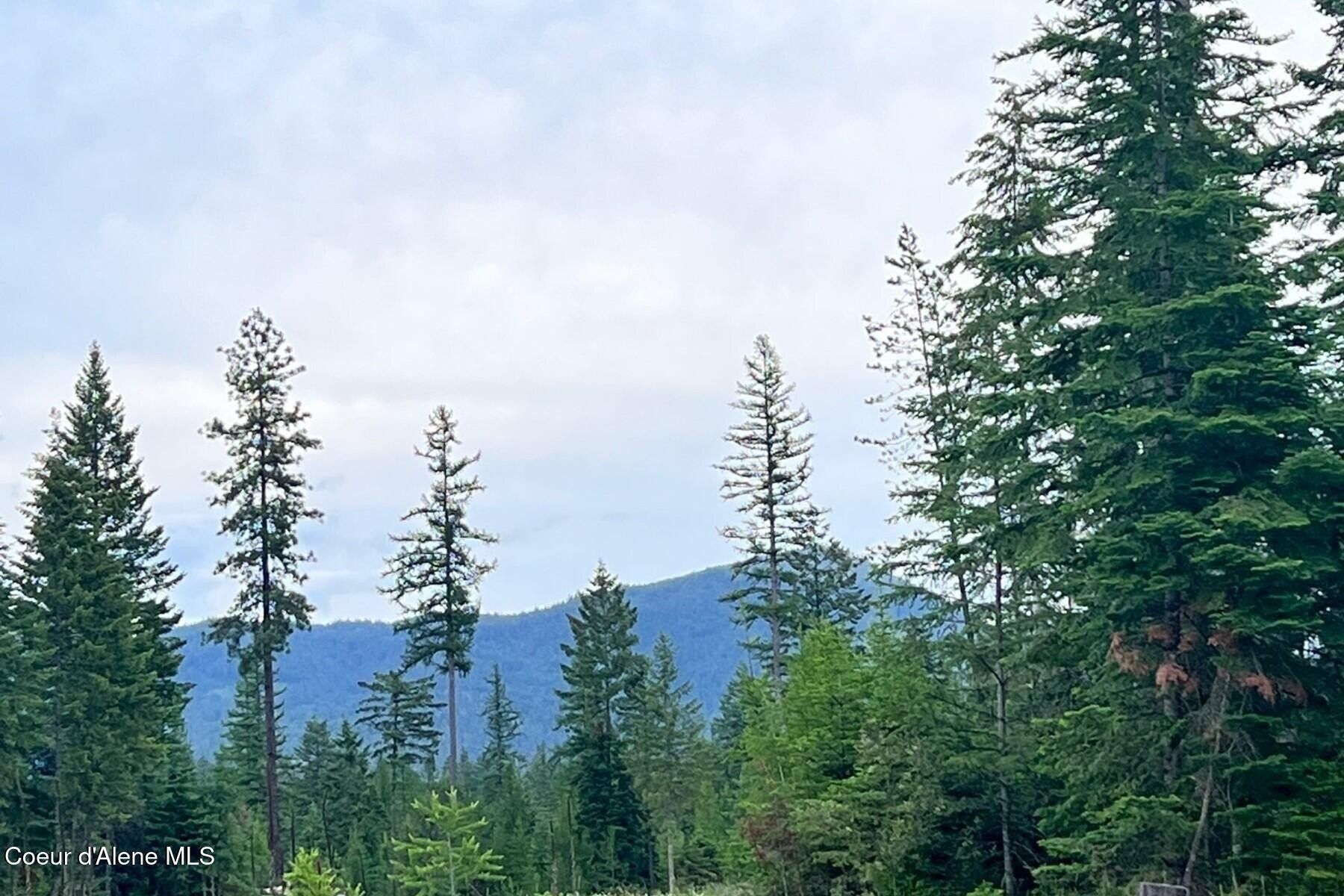 Db Lot 11 Blk 1 Leonard Loop. Athol, ID 83801