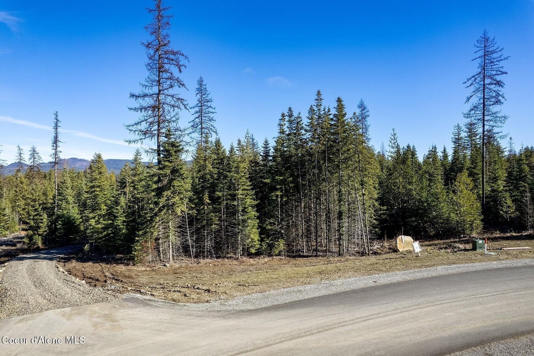 Db Lot 12 Blk 1 Leonard Loop. Athol, ID 83801