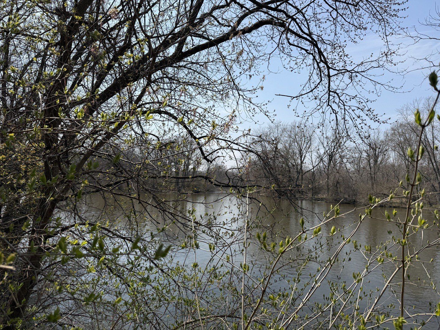 123 W Benton Street. Oswego, IL 60543