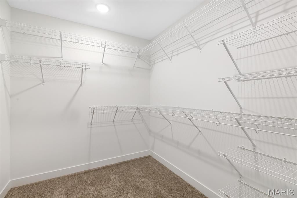 204 Wrigley Field Drive. Bethalto, IL 62010