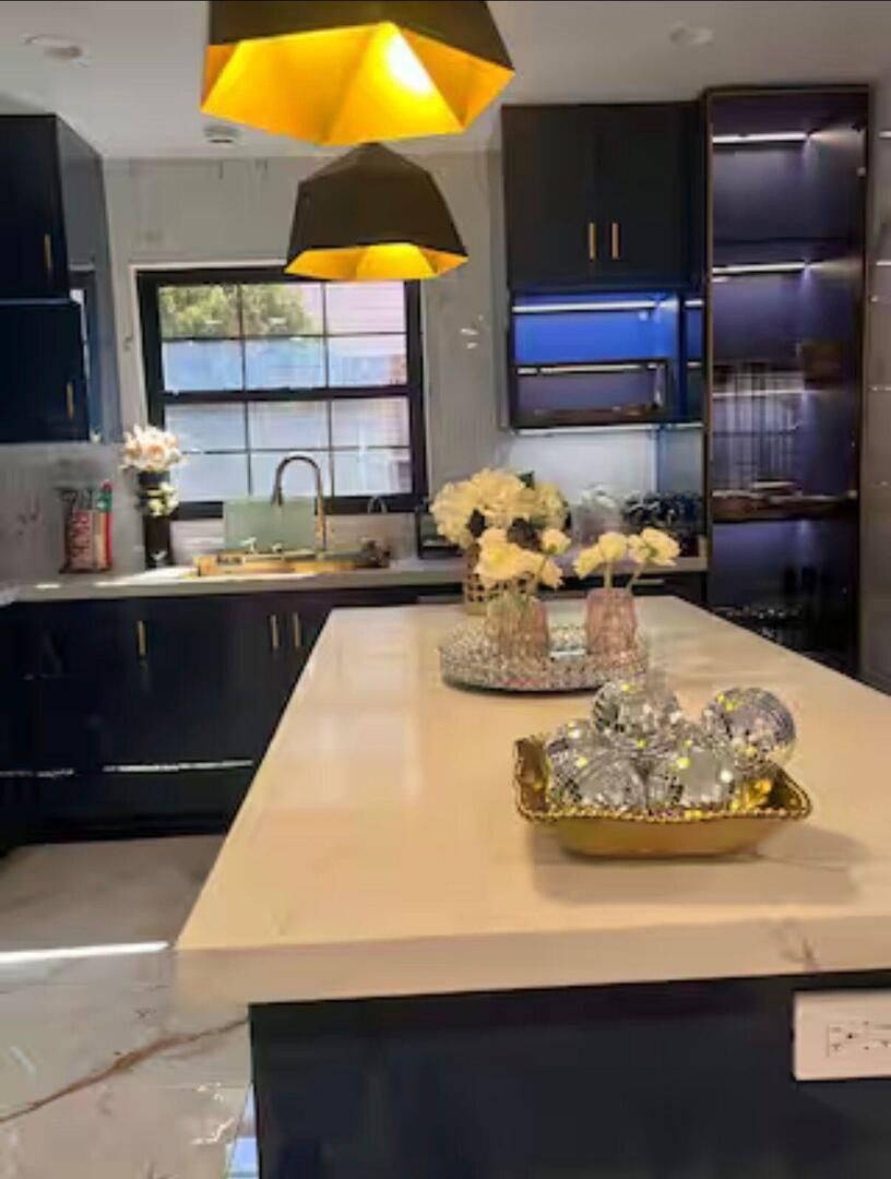 1509 Center Street. Des Plaines, IL 60018