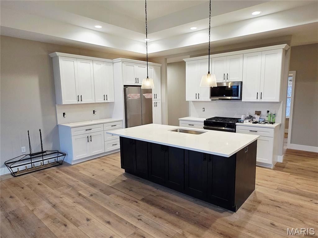 433 Briarberry Drive. Shiloh, IL 62221