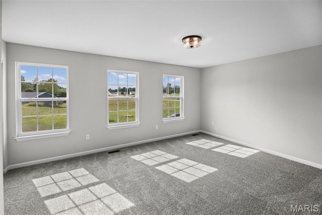 208 Bunkum Woods Drive. Fairview Heights, IL 62208