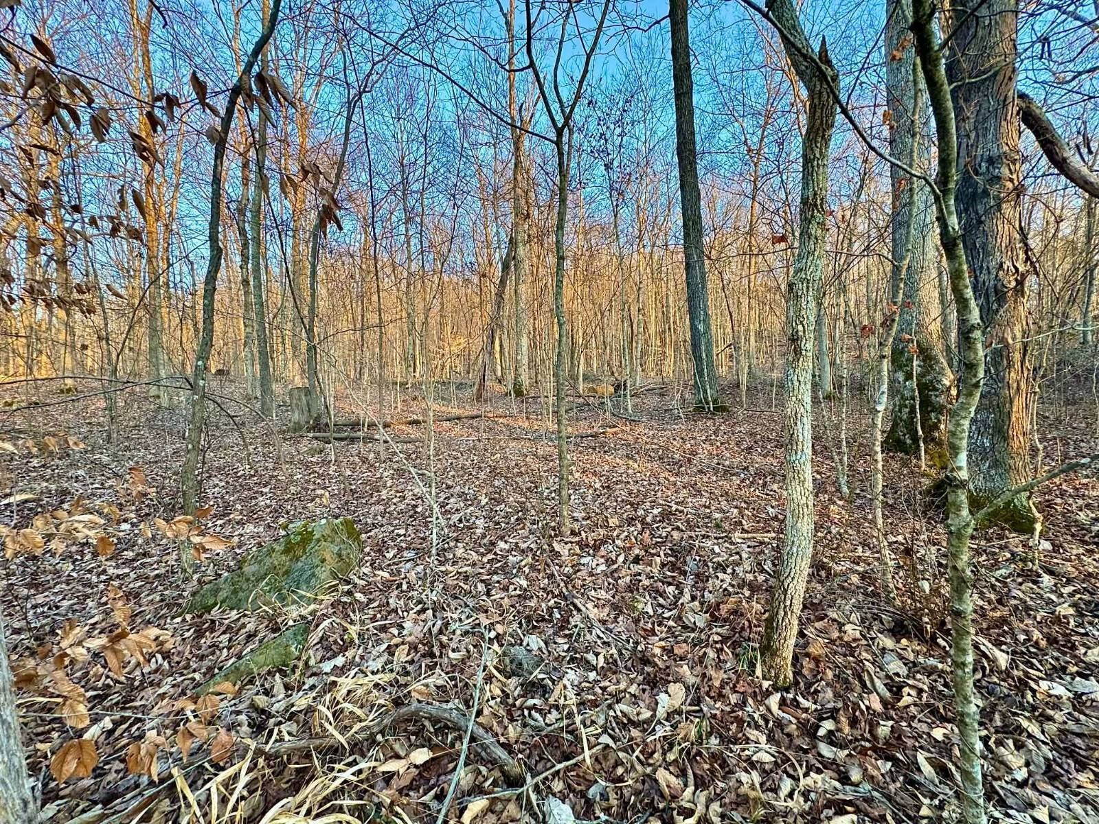 7236 Triplett Rd. Rome, IN 47574