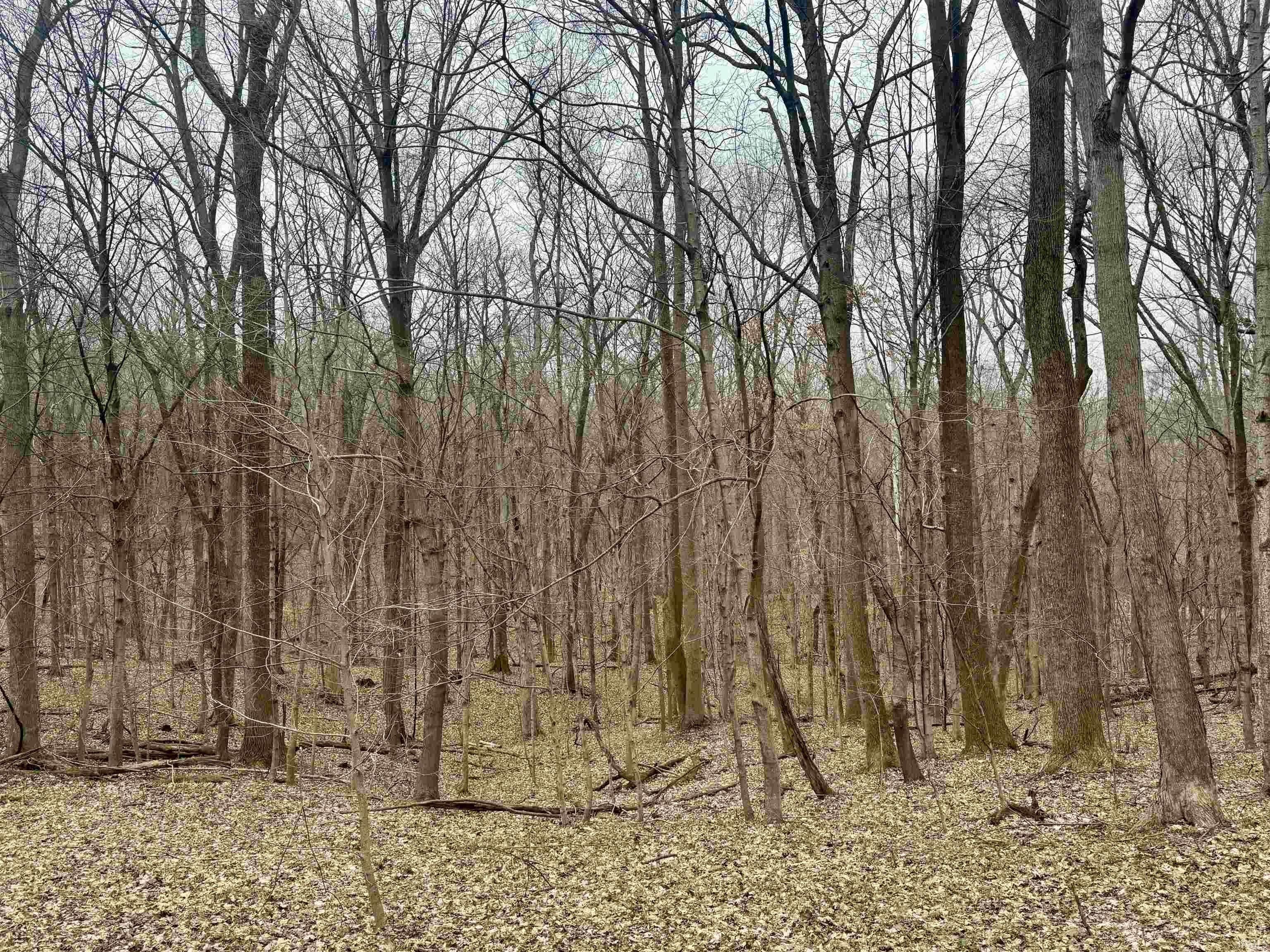 Off Sr 66. Grandview, IN 47615