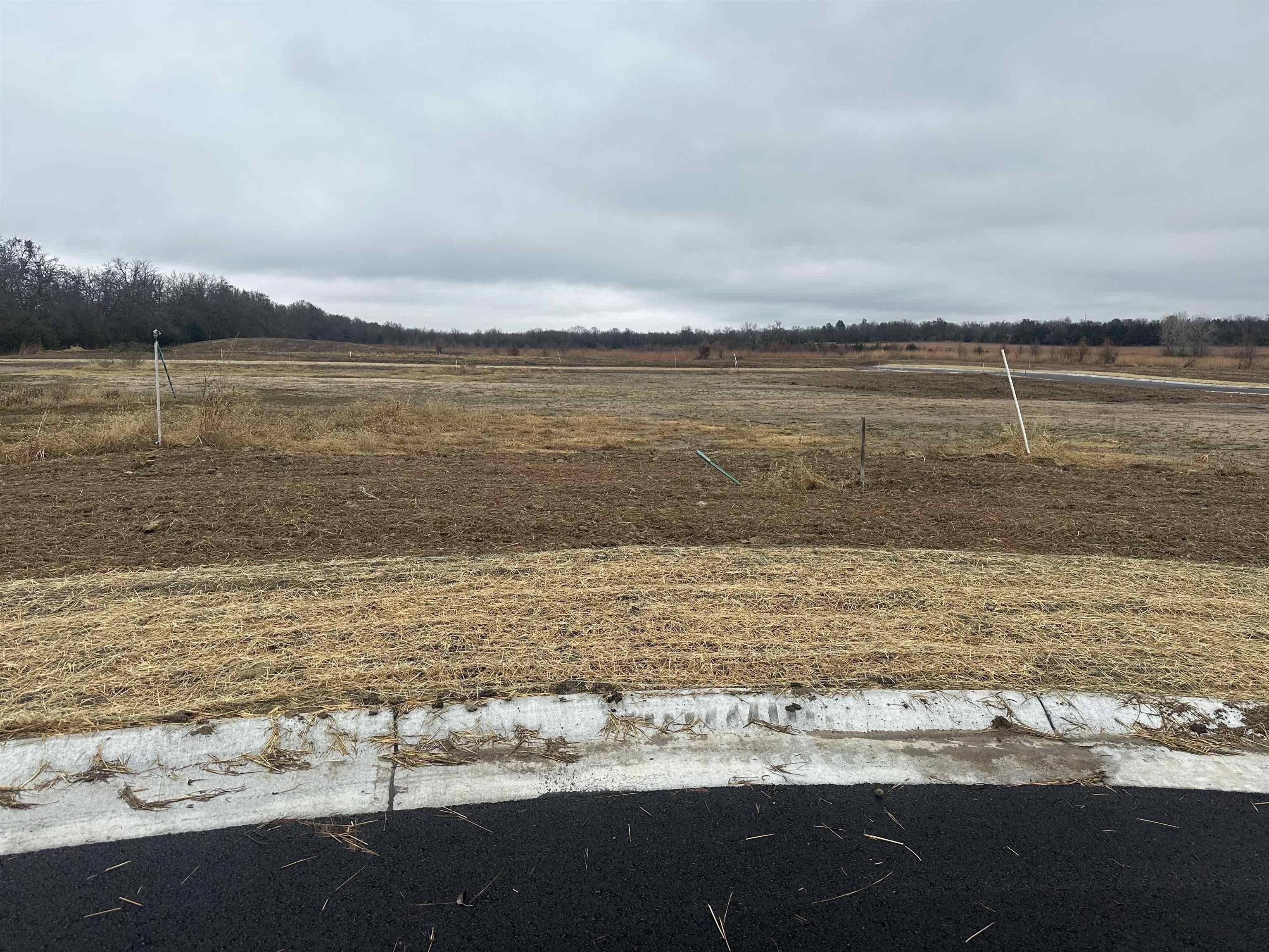 816 W Bluebird Ct. Andover, KS 67002