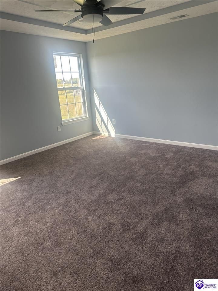 69 Diamond Court. Vine Grove, KY 40175