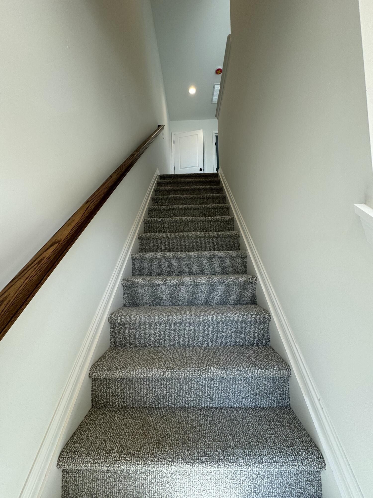 3104 Daly Place. Lexington, KY 40511