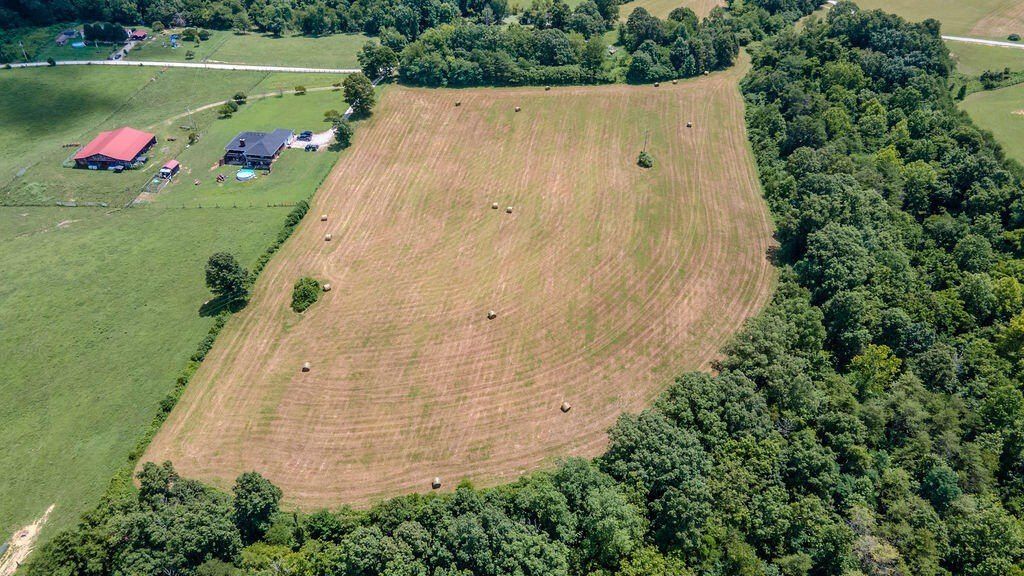 541 Rosemont Road. Irvine, KY 40336