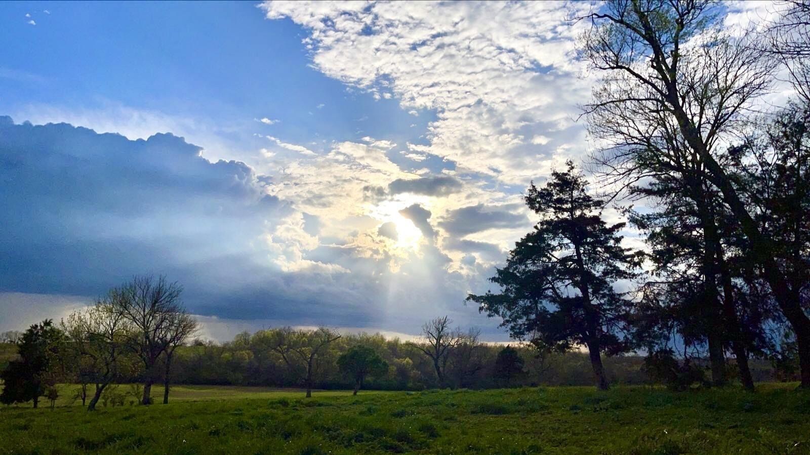 202 Appaloosa Trail. Wilmore, KY 40390