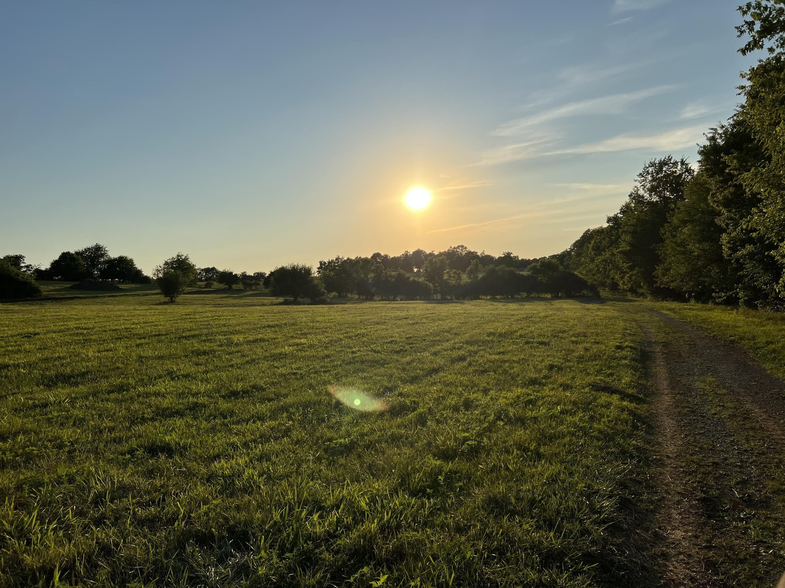 201 Appaloosa Trail. Wilmore, KY 40390