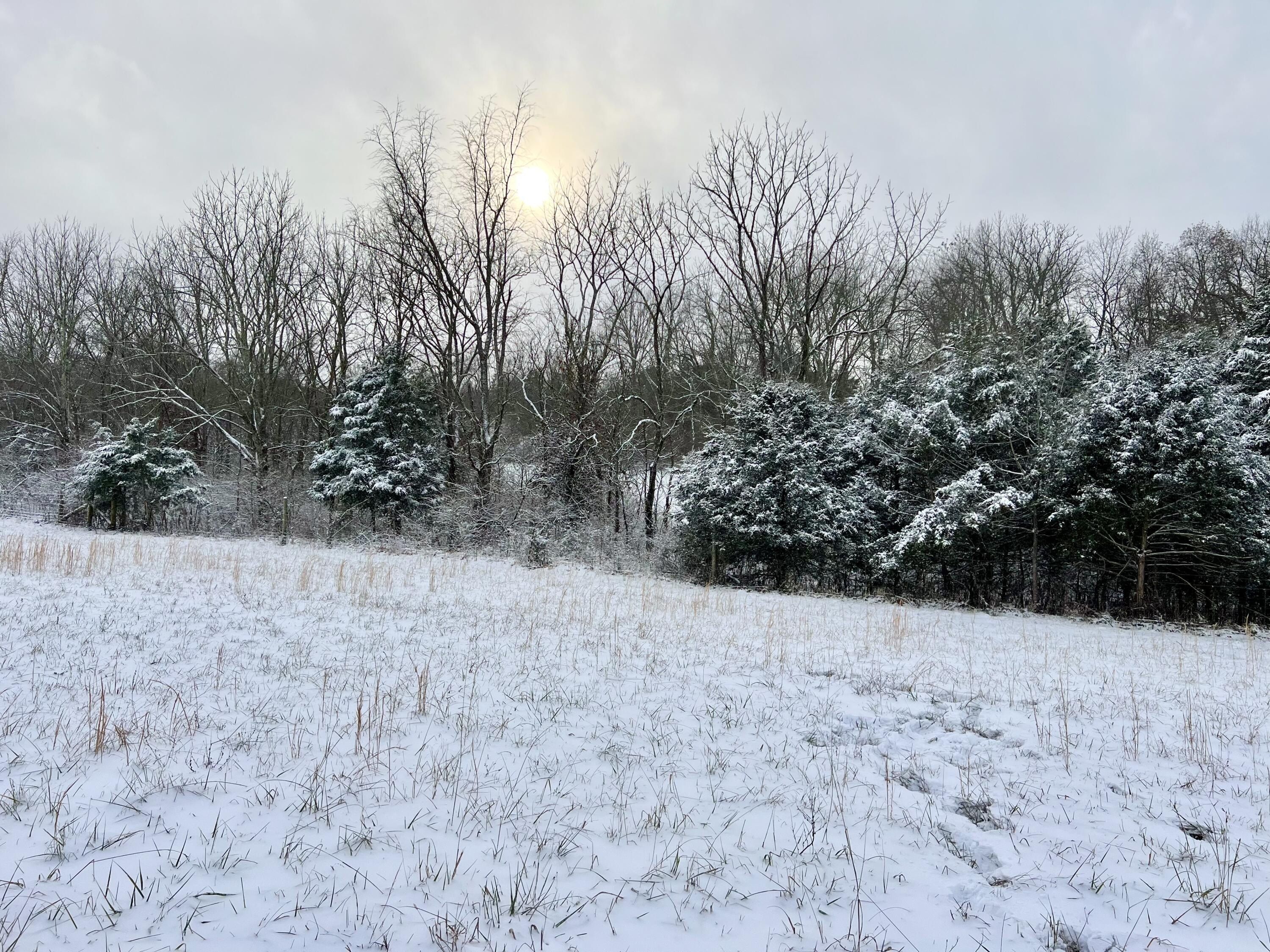 305 Appaloosa Trail. Wilmore, KY 40390