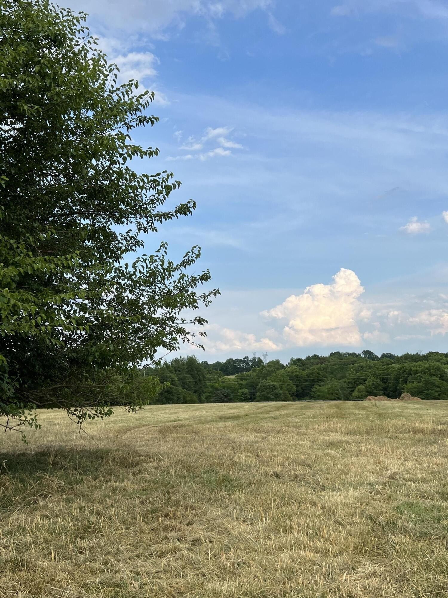 201 Appaloosa Trail. Wilmore, KY 40390