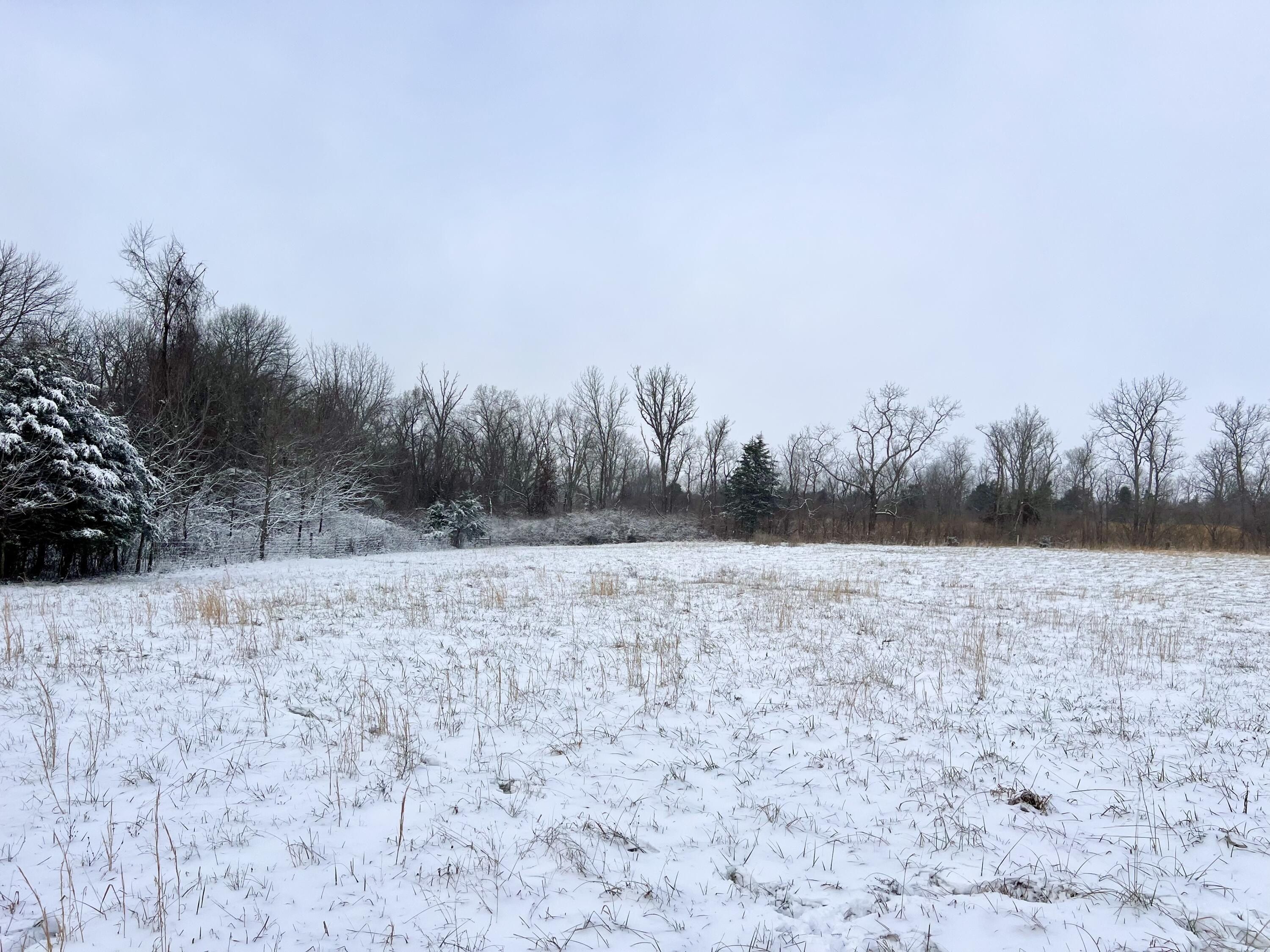 409 Appaloosa Trail. Wilmore, KY 40390