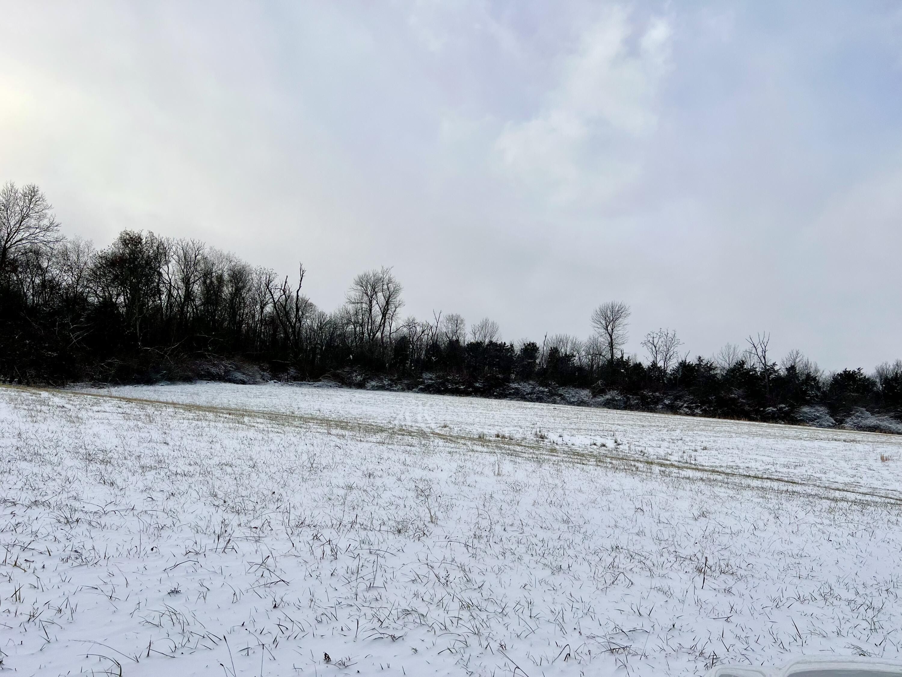 306 Appaloosa Trail. Wilmore, KY 40390