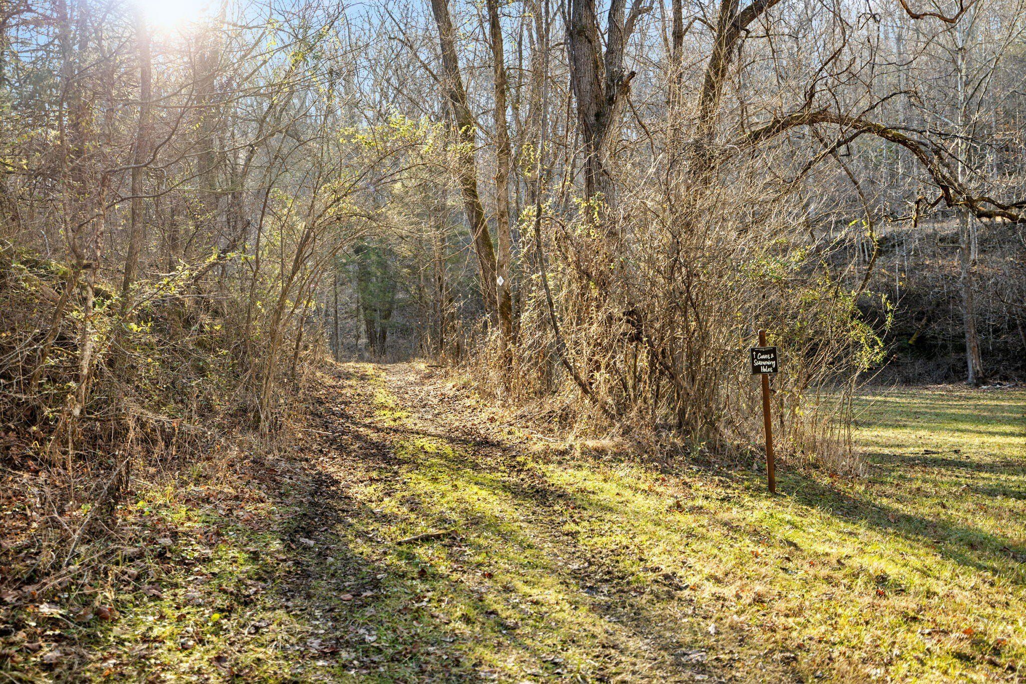 22 Still Hand. Beattyville, KY 41311