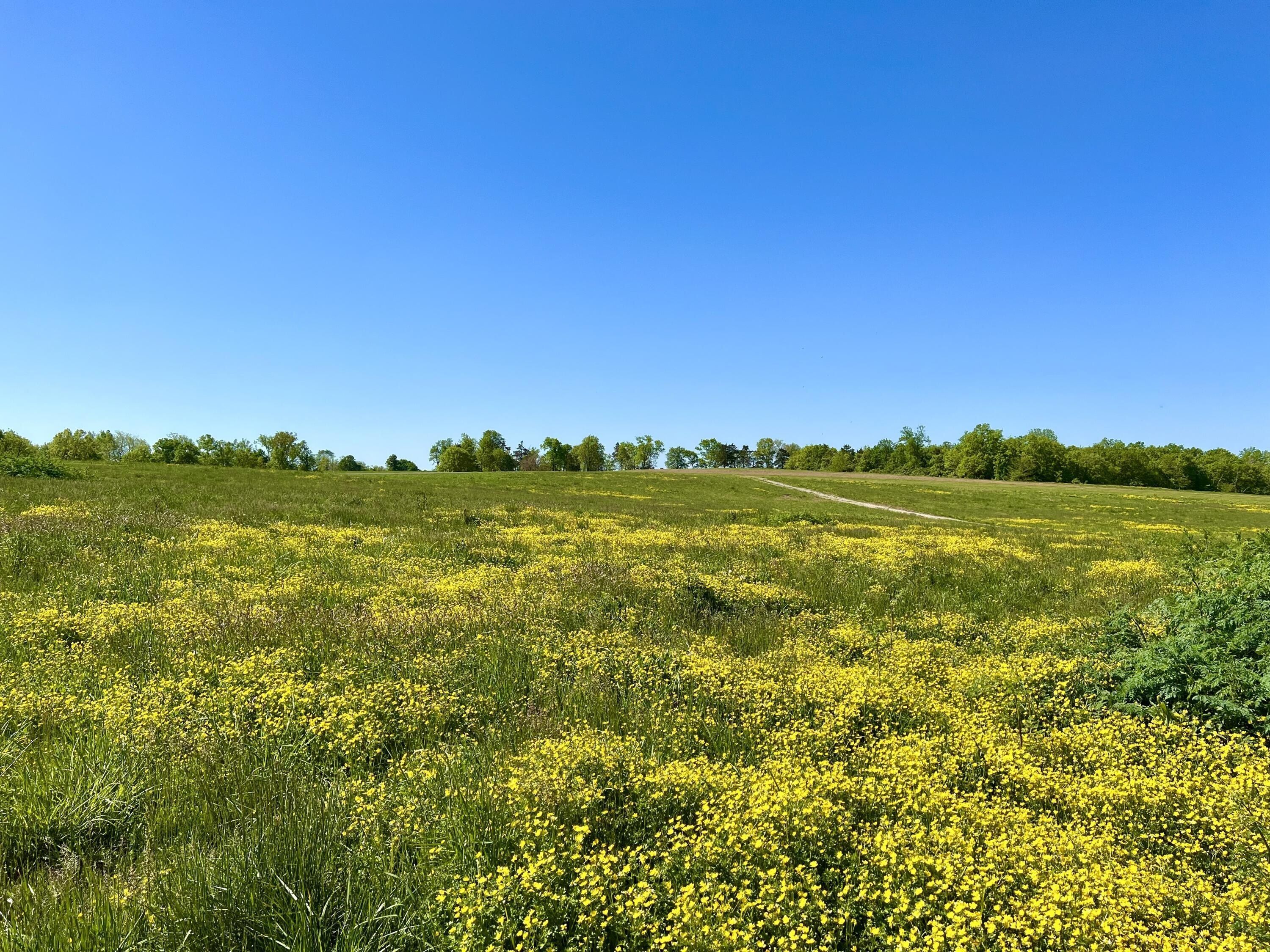 401 Appaloosa Trail. Wilmore, KY 40390