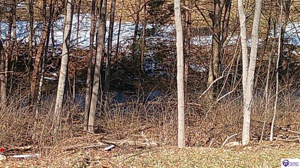 402 Meadowview Court. Bardstown, KY 40004