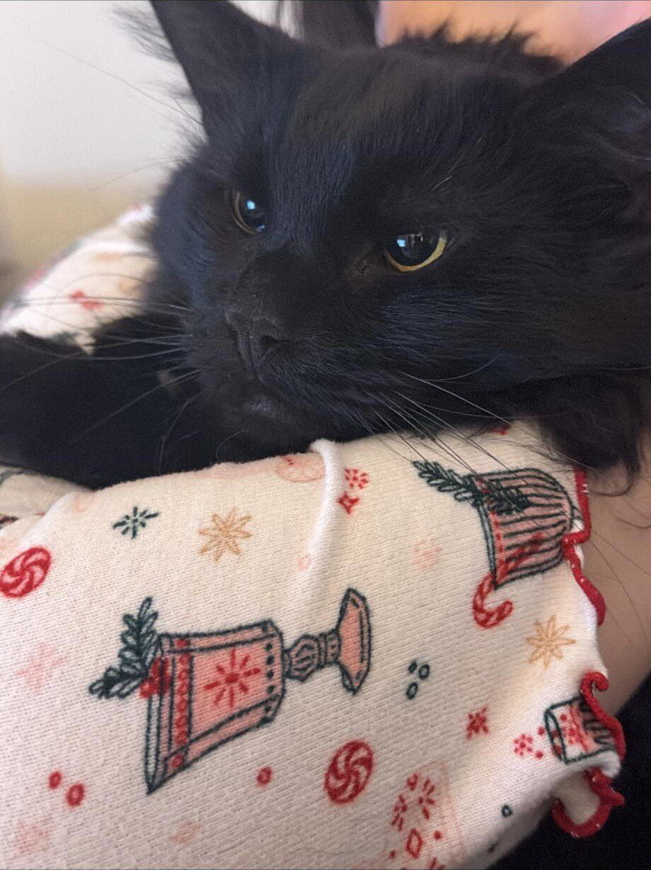 844 Ridgewood Drive Unit 1234567. Berea, KY 40403