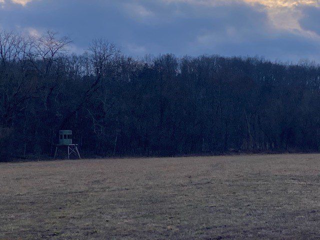 1815 Cedar Creek. Mount Olivet, KY 41064