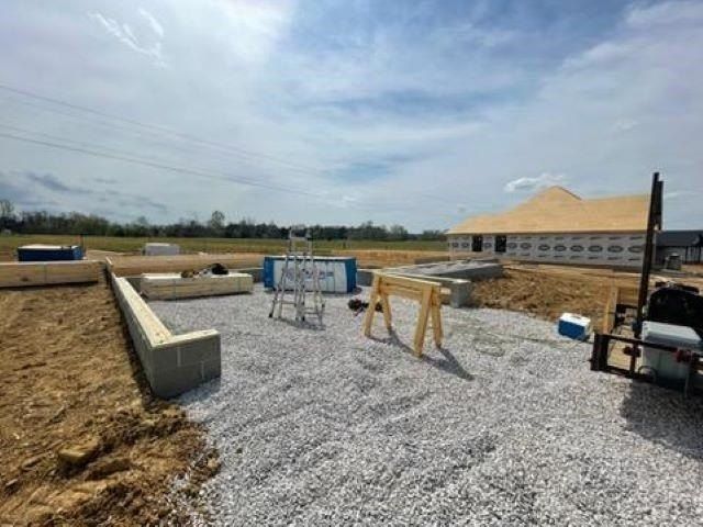 Lot 4 Courtlynn Drive. Smiths Grove, KY 42171