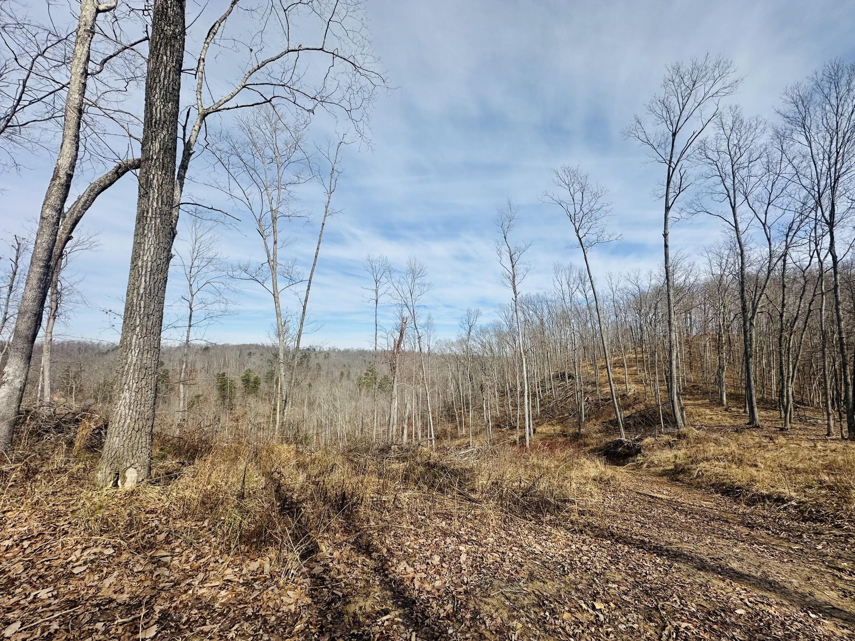 780 Shib Branch Road. Manchester, KY 40962