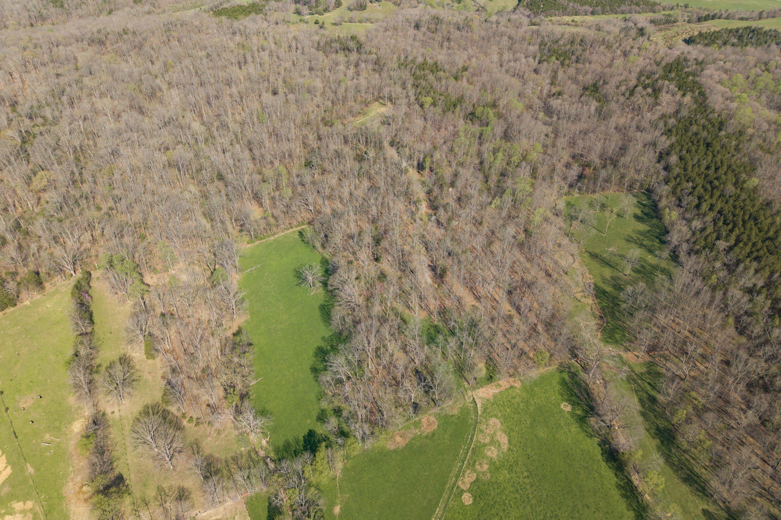 1810 Twin Creek Road. Sadieville, KY 40370