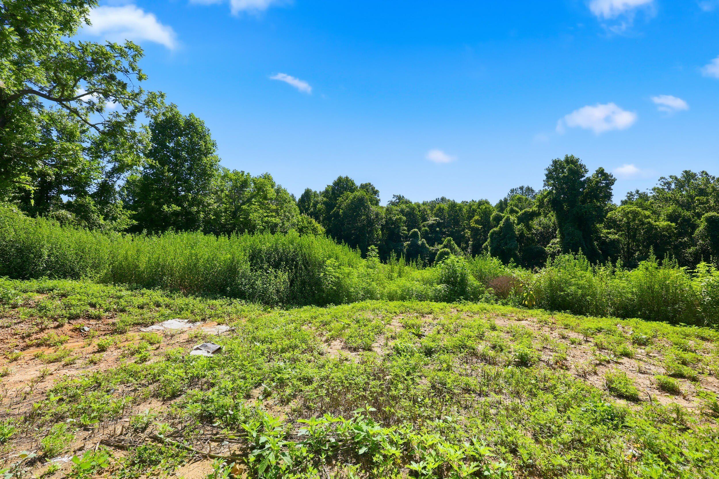1846 Cream Ridge Road. Junction City, KY 40440