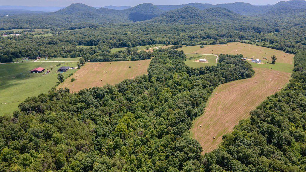 541 Rosemont Road. Irvine, KY 40336