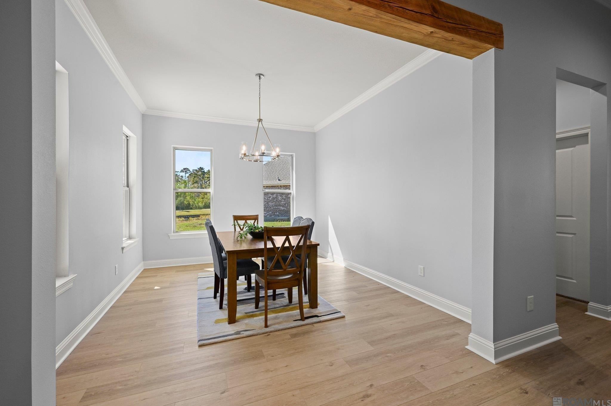 21433 Bluefin Dr. Springfield, LA 70462